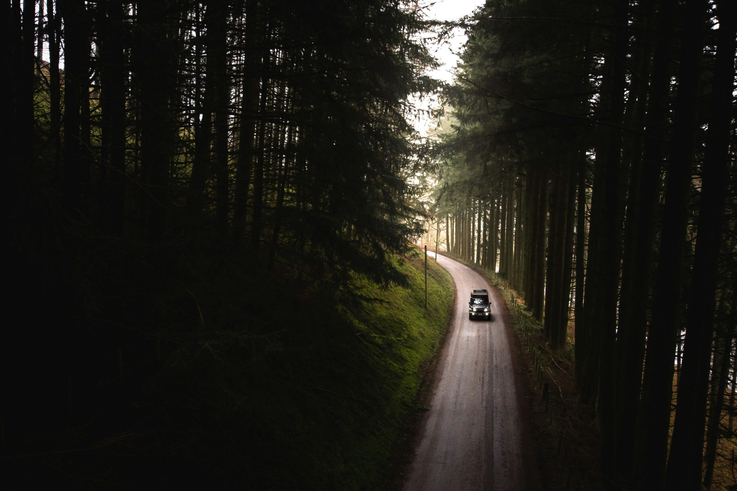Thomas Tucker P8lVXqJ9Ghw Unsplash
